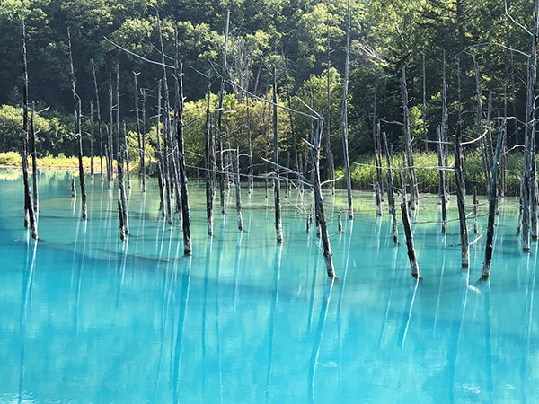 2021年度 129駅 ガチャピンズラリー達成者