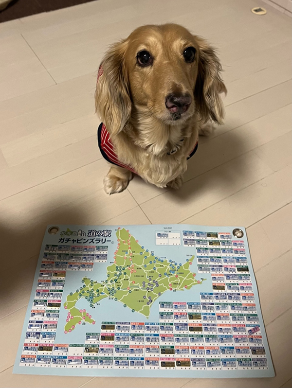 2021年度 129駅 ガチャピンズラリー達成者