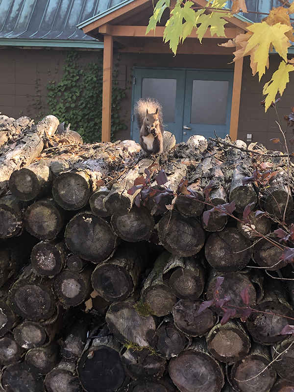 2021年度 129駅 ガチャピンズラリー達成者