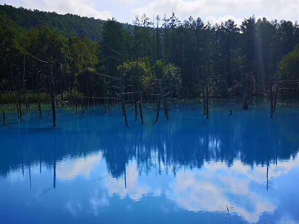 2021年度 129駅 ガチャピンズラリー達成者