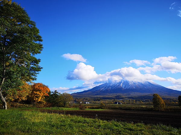2021年度 129駅 ガチャピンズラリー達成者