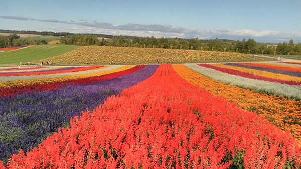 2021年度 129駅 ガチャピンズラリー達成者