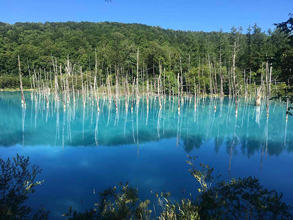 2021年度 129駅 ガチャピンズラリー達成者