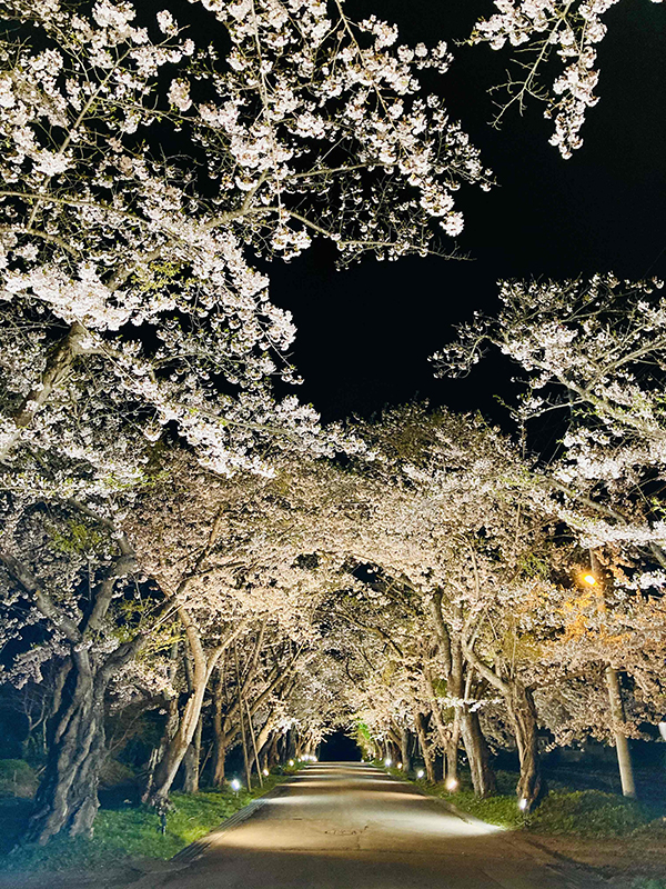 2021年度 129駅 ガチャピンズラリー達成者