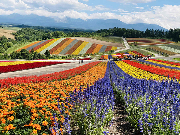 2021年度 129駅 ガチャピンズラリー達成者