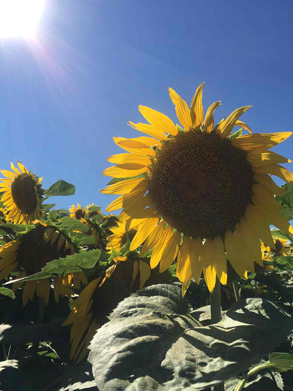 2021年度 129駅 ガチャピンズラリー達成者