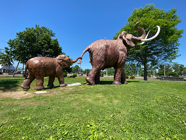 2021年度 129駅 ガチャピンズラリー達成者