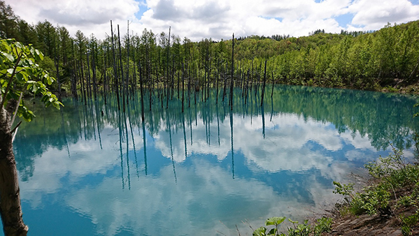 2021年度 129駅 ガチャピンズラリー達成者