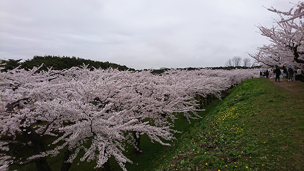 2021年度 129駅 ガチャピンズラリー達成者