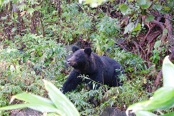 2021年度 129駅 ガチャピンズラリー達成者