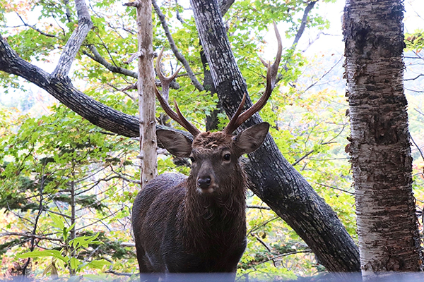 2021年度 129駅 ガチャピンズラリー達成者