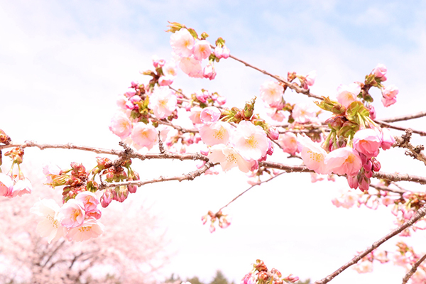 2021年度 129駅 ガチャピンズラリー達成者