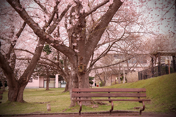 2021年度 129駅 ガチャピンズラリー達成者