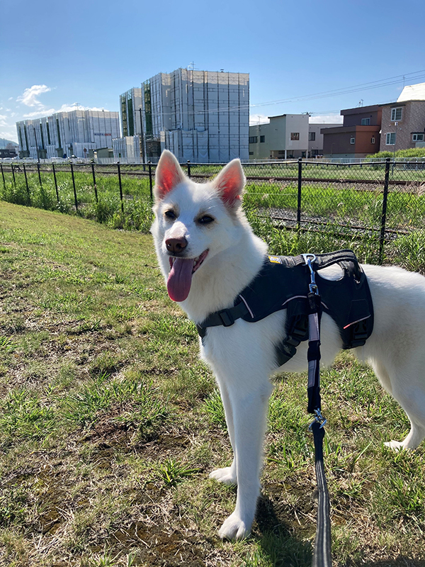 2021年度 129駅 ガチャピンズラリー達成者