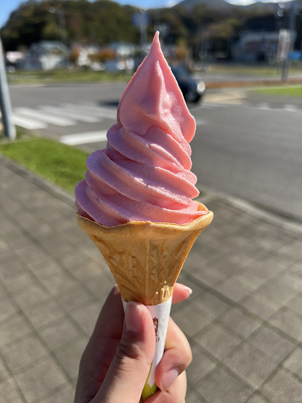 2021年度 129駅 ガチャピンズラリー達成者