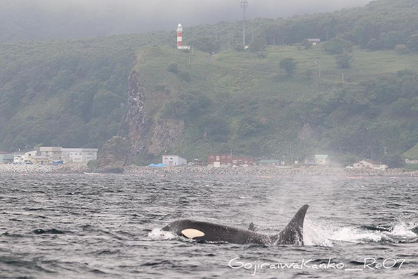 2021年度 129駅 ガチャピンズラリー達成者