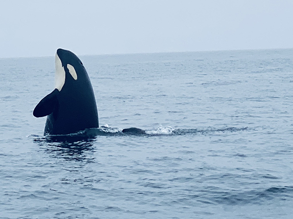 2021年度 129駅 ガチャピンズラリー達成者