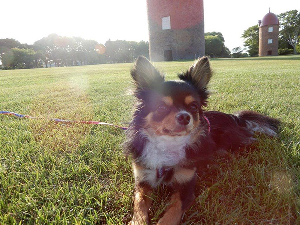 2021年度 129駅 ガチャピンズラリー達成者