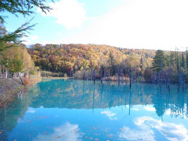 2021年度 129駅 ガチャピンズラリー達成者