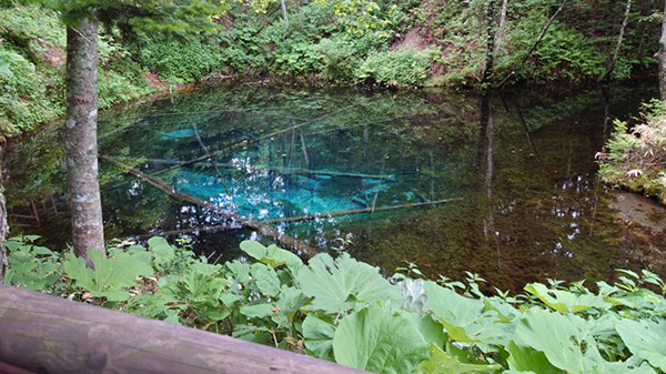 2021年度 129駅 ガチャピンズラリー達成者