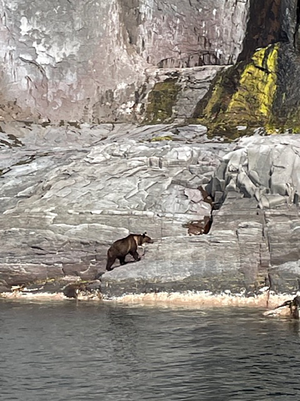 2021年度 129駅 ガチャピンズラリー達成者