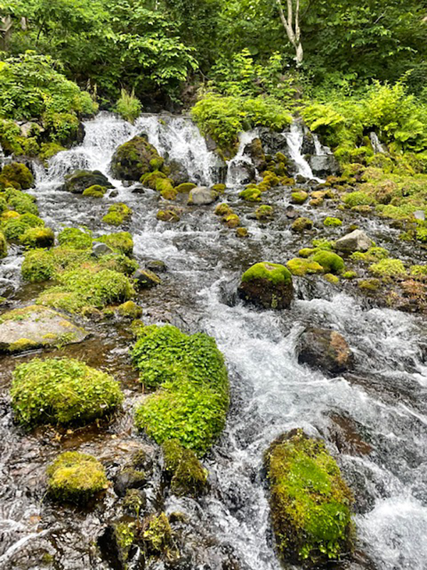 2021年度 129駅 ガチャピンズラリー達成者