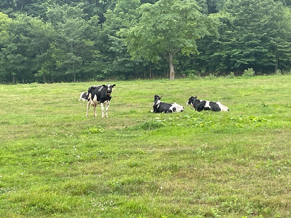 2021年度 129駅 ガチャピンズラリー達成者