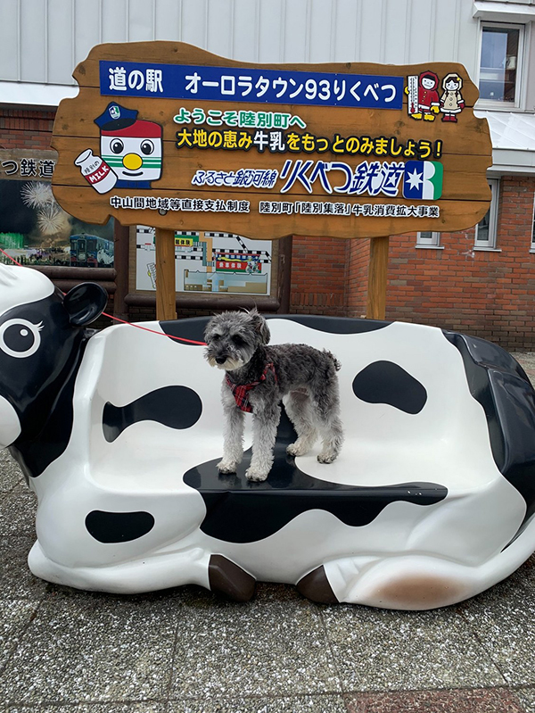 2021年度 129駅 ガチャピンズラリー達成者