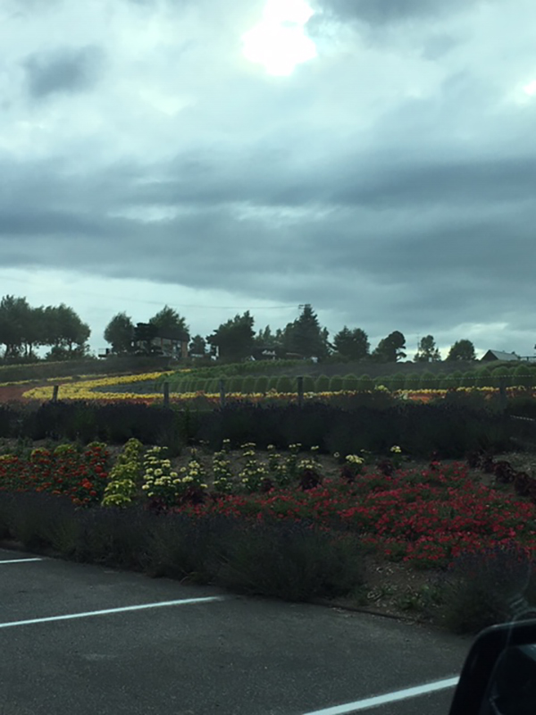 2021年度 129駅 ガチャピンズラリー達成者