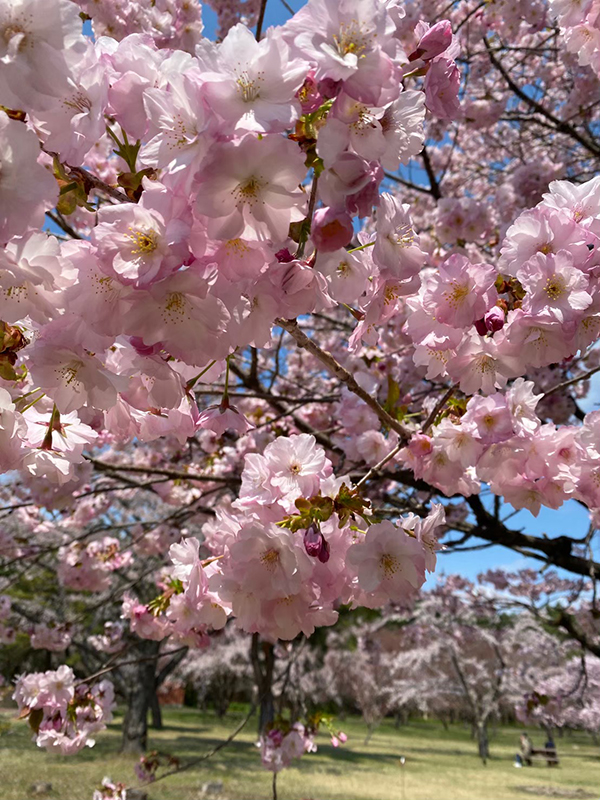 2022年度 北海道版 ガチャピンズラリー達成者