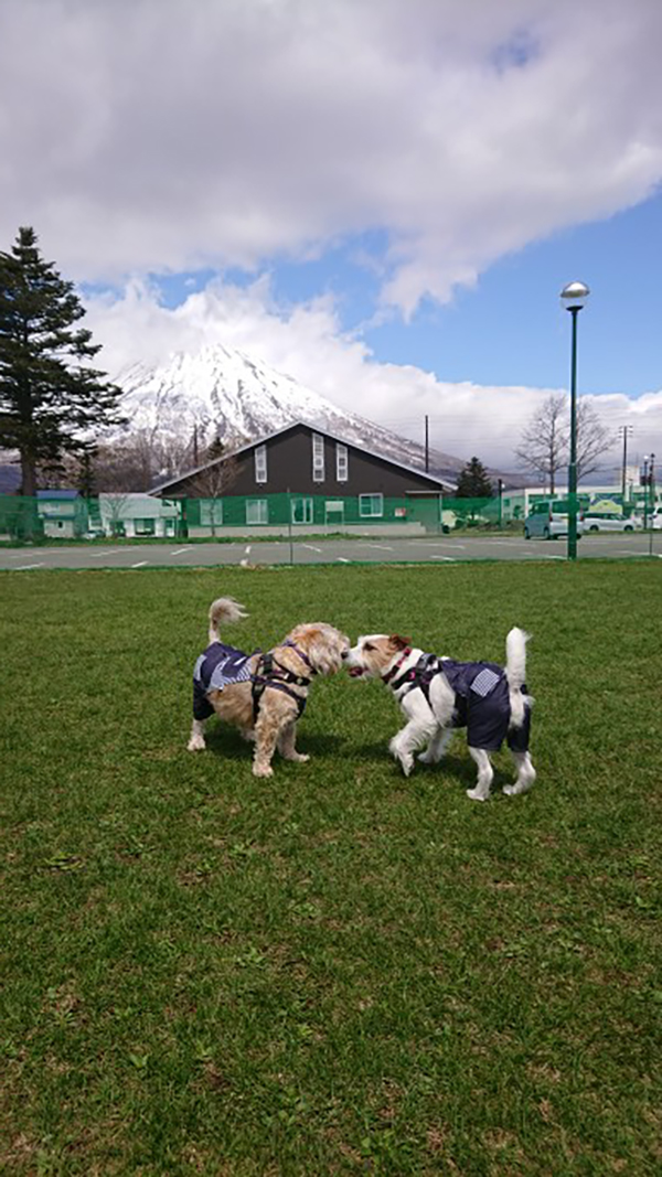 2022年度 北海道版 ガチャピンズラリー達成者