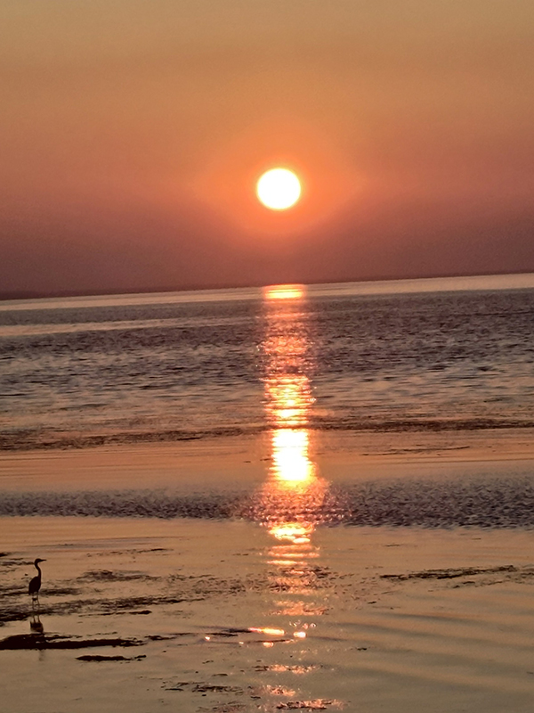 2022年度 北海道版 ガチャピンズラリー達成者