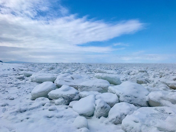 2022年度 北海道版 ガチャピンズラリー達成者