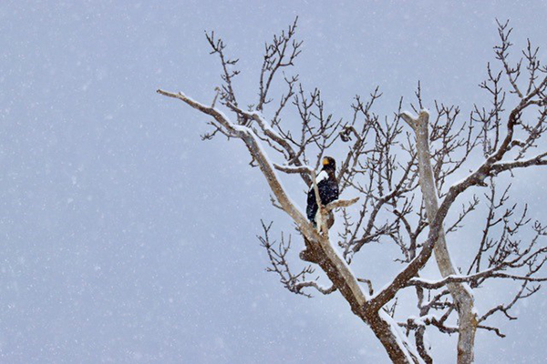 2022年度 北海道版 ガチャピンズラリー達成者