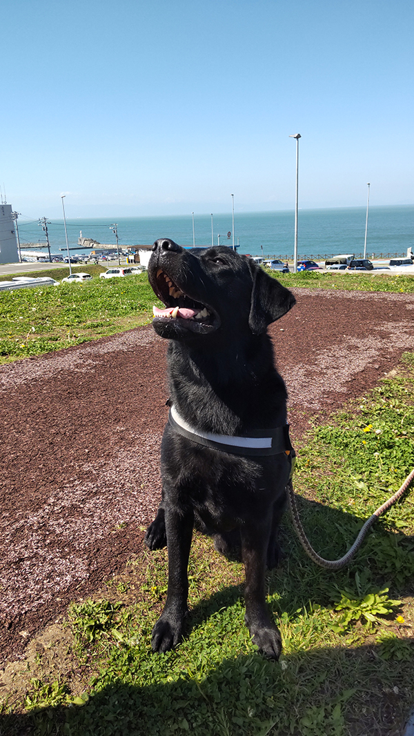 2022年度 北海道版 ガチャピンズラリー達成者