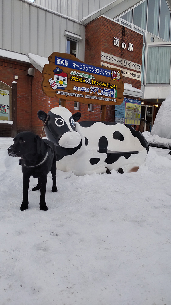 2022年度 北海道版 ガチャピンズラリー達成者