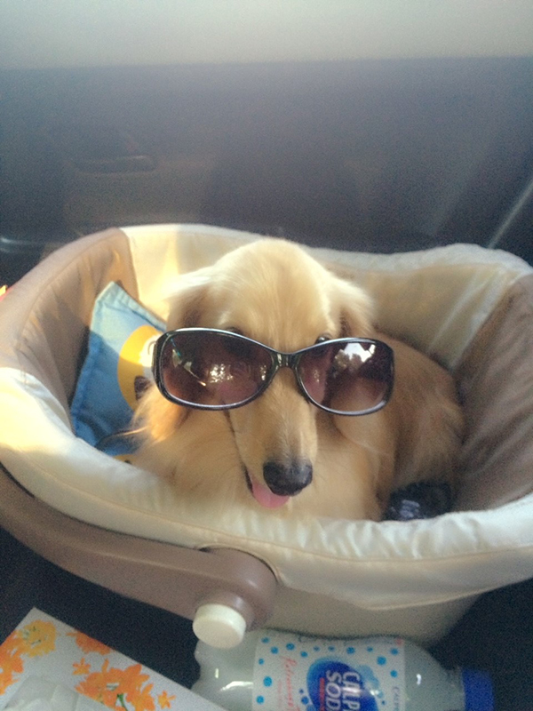 2022年度 北海道版 ガチャピンズラリー達成者