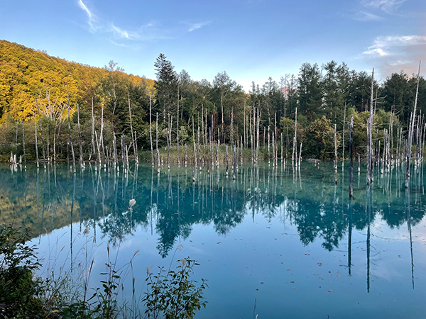 2022年度 北海道版 ガチャピンズラリー達成者