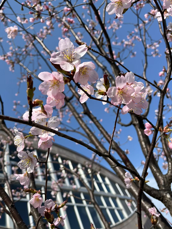 2022年度 北海道版 ガチャピンズラリー達成者