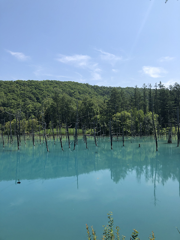 2022年度 北海道版 ガチャピンズラリー達成者