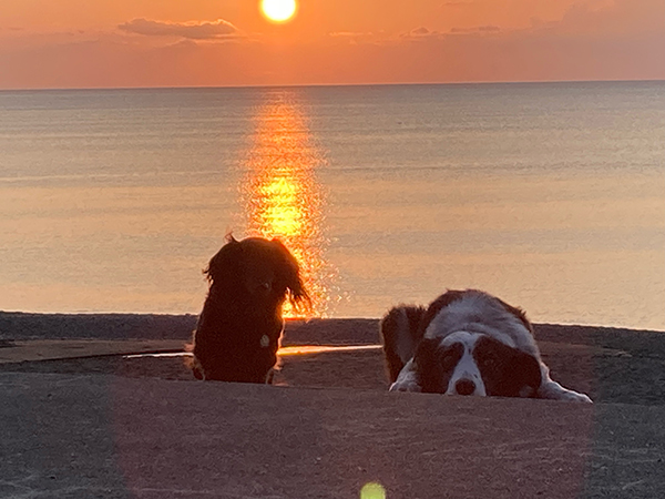 2022年度 北海道版 ガチャピンズラリー達成者