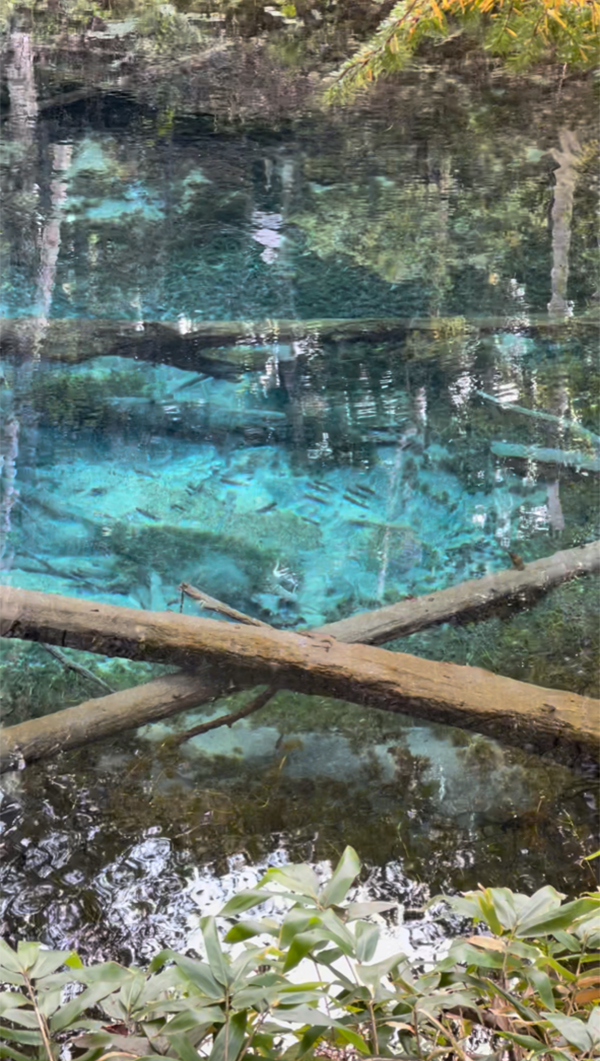 2022年度 北海道版 ガチャピンズラリー達成者