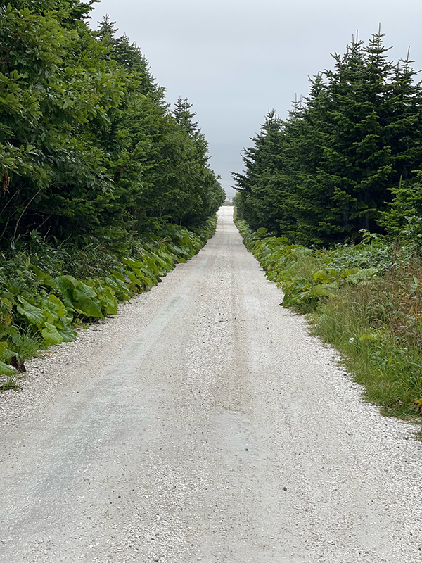 2022年度 北海道版 ガチャピンズラリー達成者