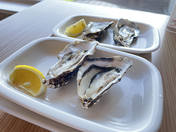 2022年度 北海道版 ガチャピンズラリー達成者