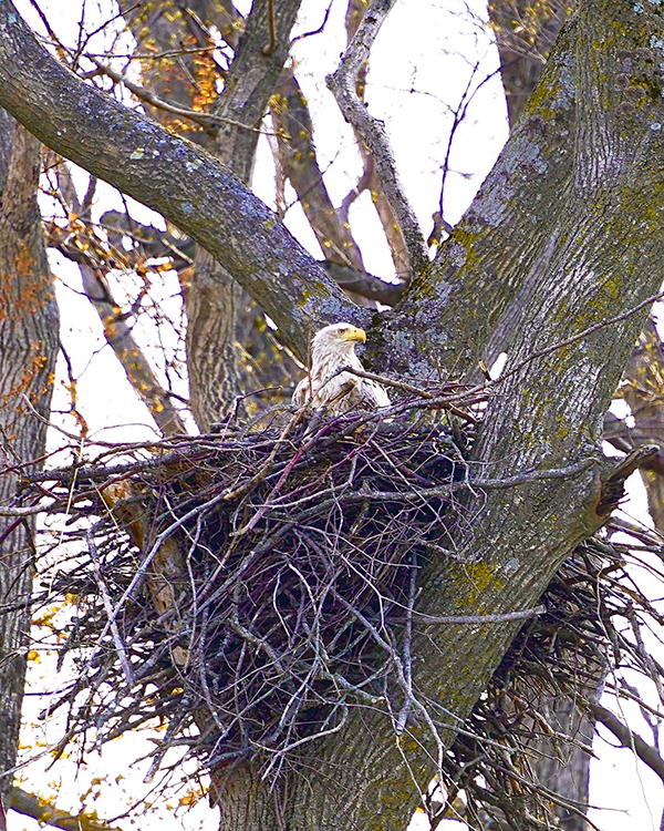 2022年度 北海道版 ガチャピンズラリー達成者