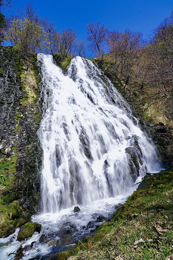 2022年度 北海道版 ガチャピンズラリー達成者