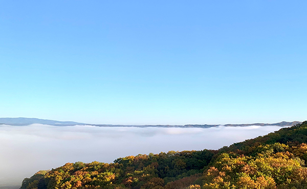 2022年度 北海道版 ガチャピンズラリー達成者