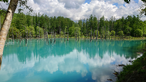 2022年度 北海道版 ガチャピンズラリー達成者
