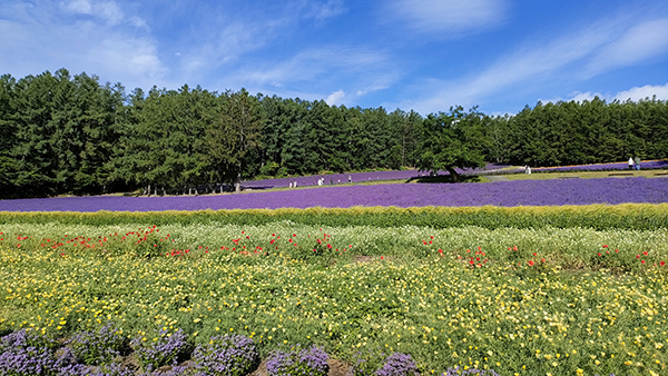 2022年度 北海道版 ガチャピンズラリー達成者