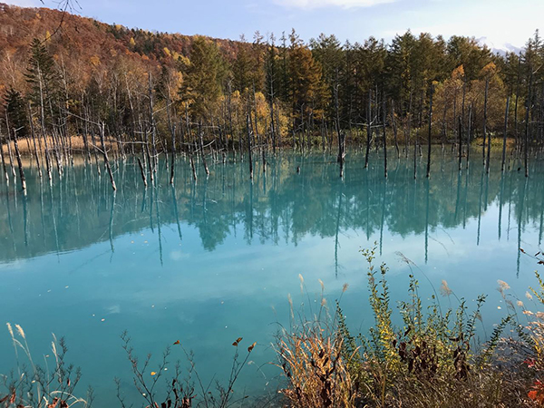 2022年度 北海道版 ガチャピンズラリー達成者